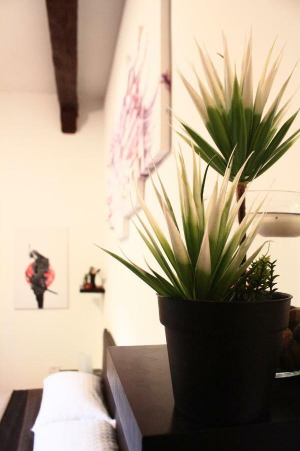 David's & Family Apartmnt Apartamento Fiumicino